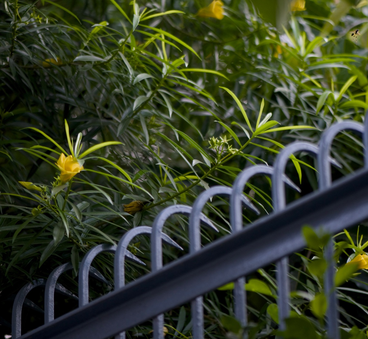 Urban, photo